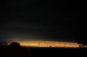 いちごハウスの夜景