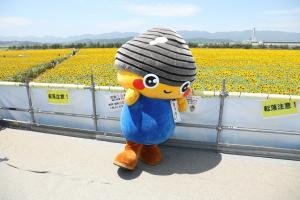 ひまわり祭り