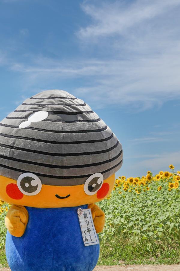 ひまわり祭り