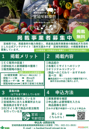 チラシ